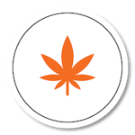 DE_Website Icons _Cannabis Facilites Icon